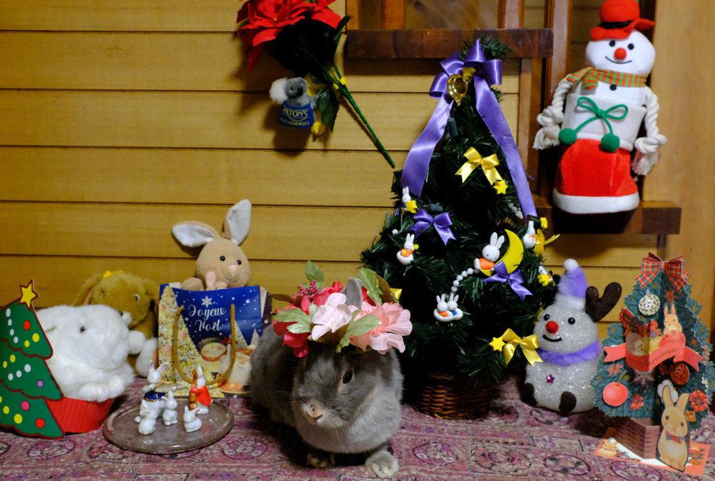 うさぎのクリスマス