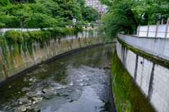 神田川