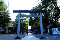 鳥居方面を振り返る
