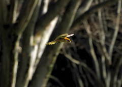 着地までどのくらいかな