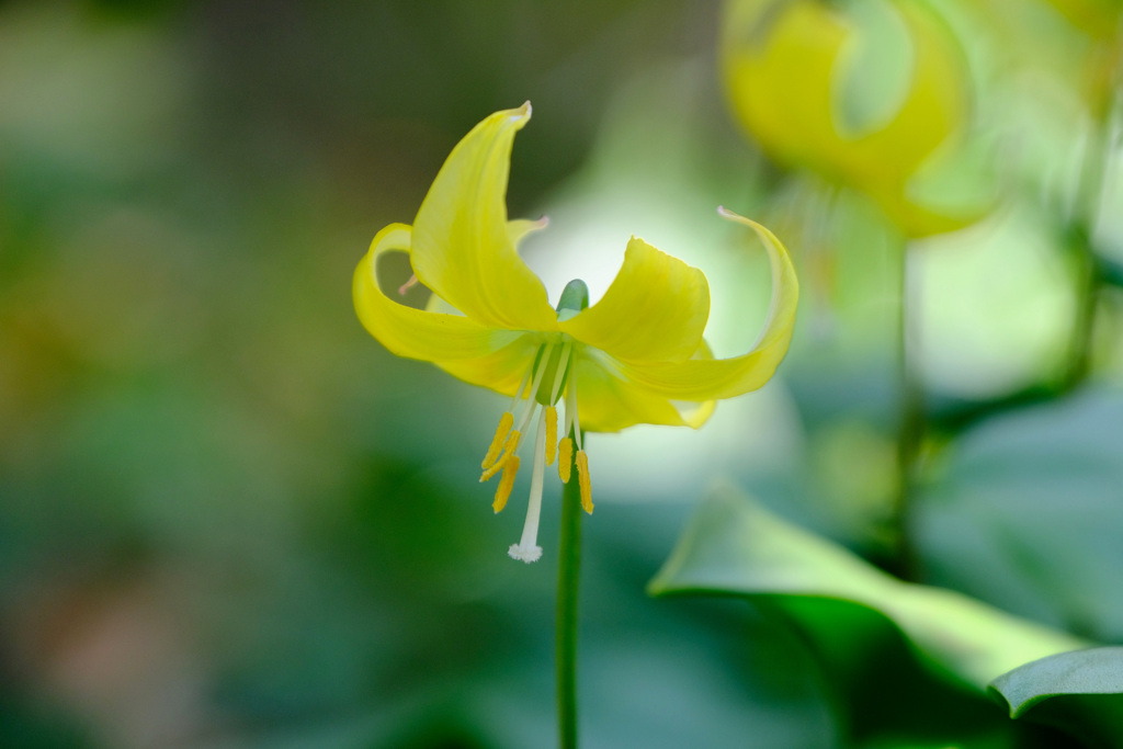 4月１０日