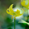 4月１０日