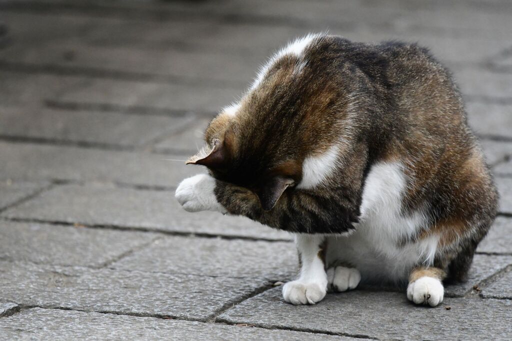 男泣き