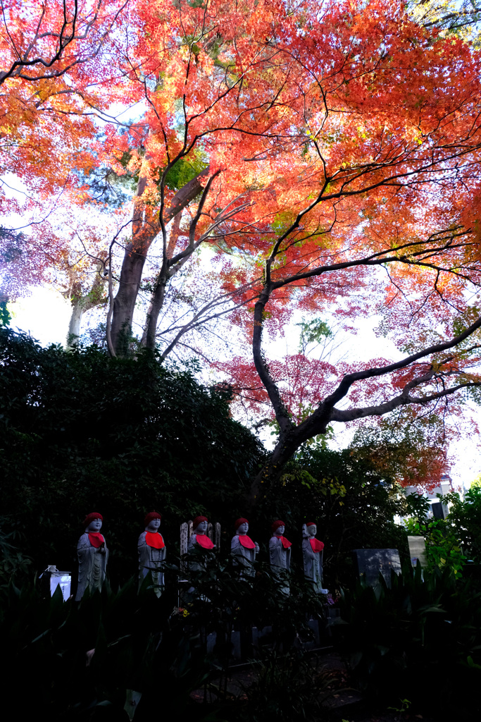 大紅葉の下の六地蔵