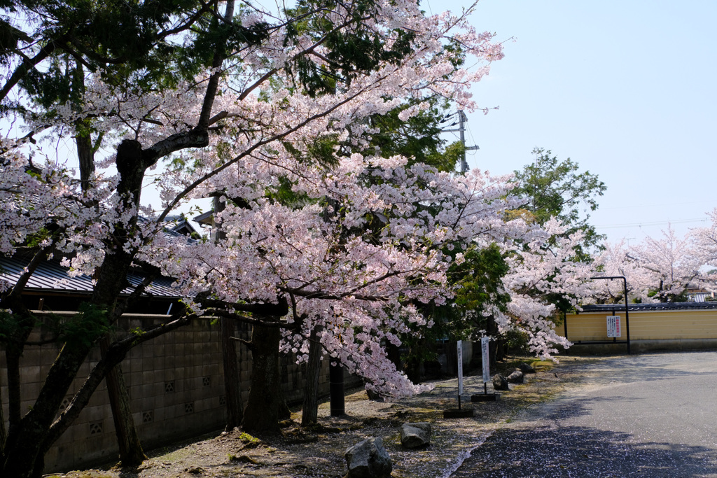 山門を入って