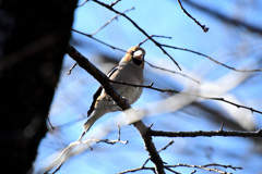 わーこっちむいてくれた