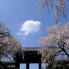 雲一つある風景