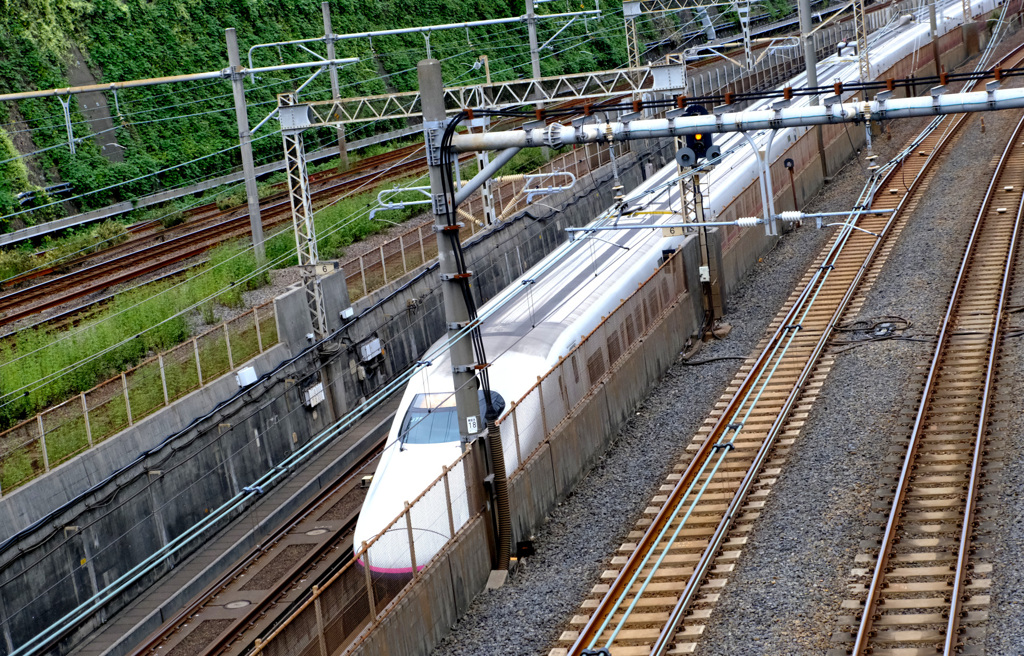 東北新幹線のＥ２系のようです