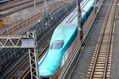 話題の東北新幹線