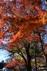 池の手前に