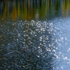 水面の輝き