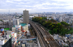 左上にＳツリー右は飛鳥山公園