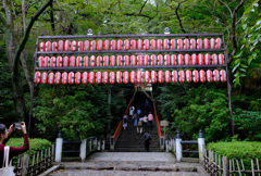 大崎八幡宮への石段