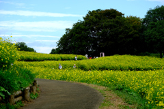 遠景