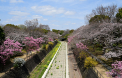 見下ろす