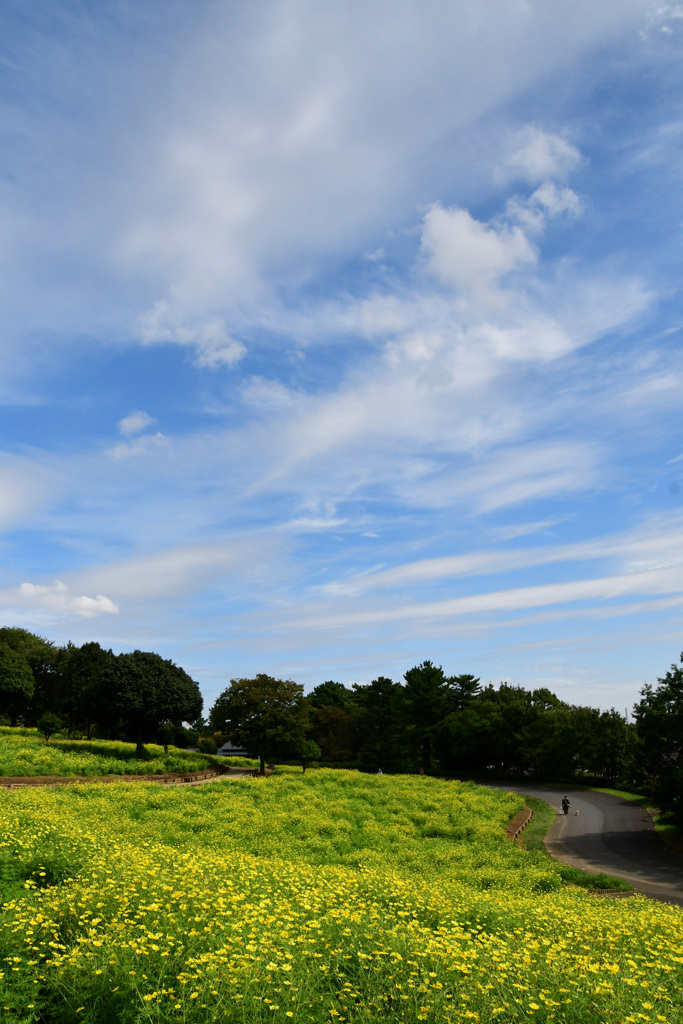 空と雲と