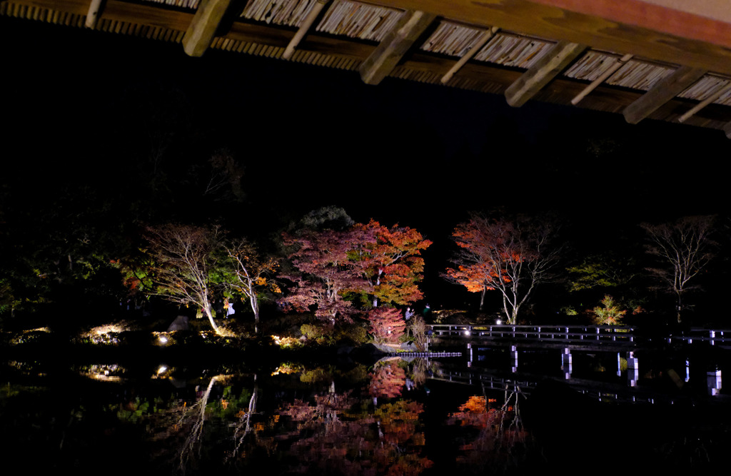 橋と紅葉