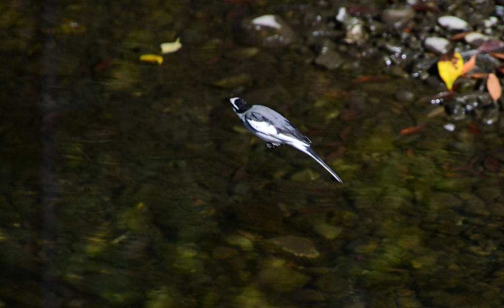 さて、スタート