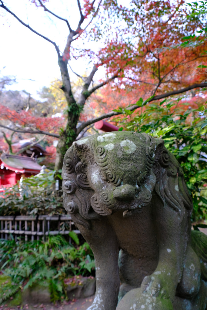 高幡不動２