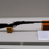 スタールカービン銃