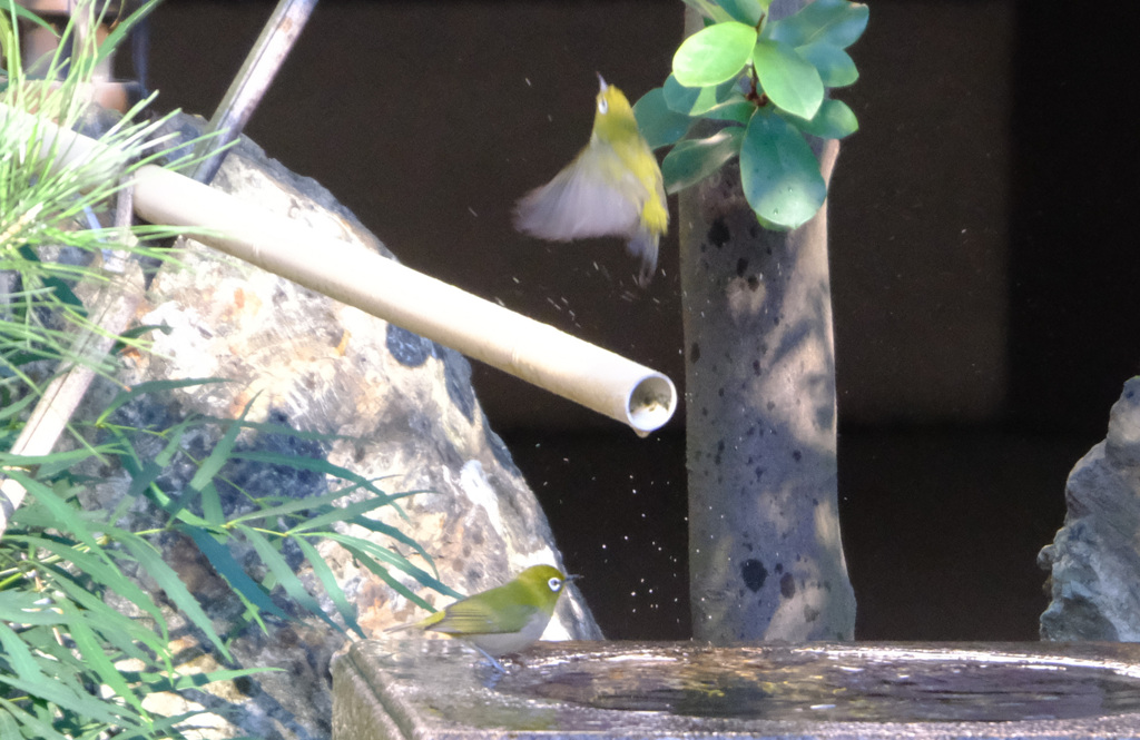 ひとりでゆっくりどうぞ