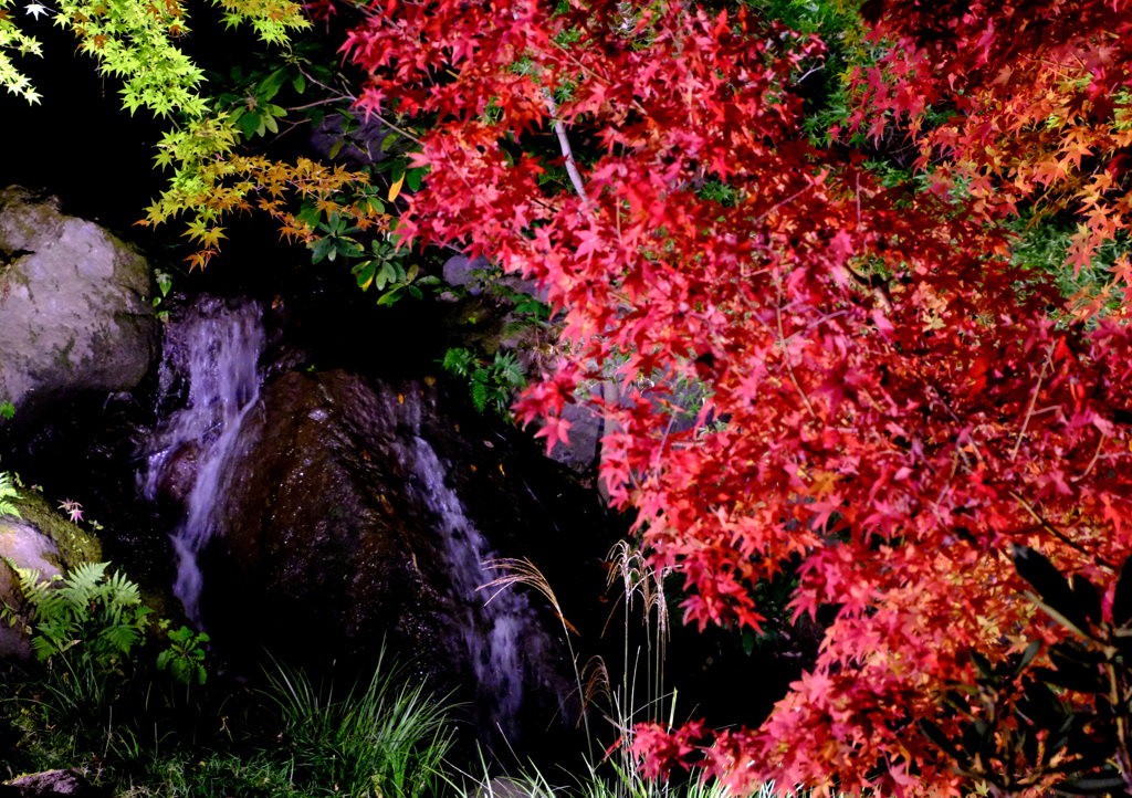 滝と紅葉