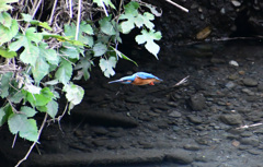 急いでどちらへ？