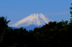 冠雪富士