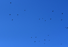 突然、上空に