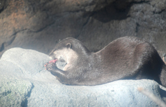 なに食べてるのかな？