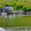 水上走り３