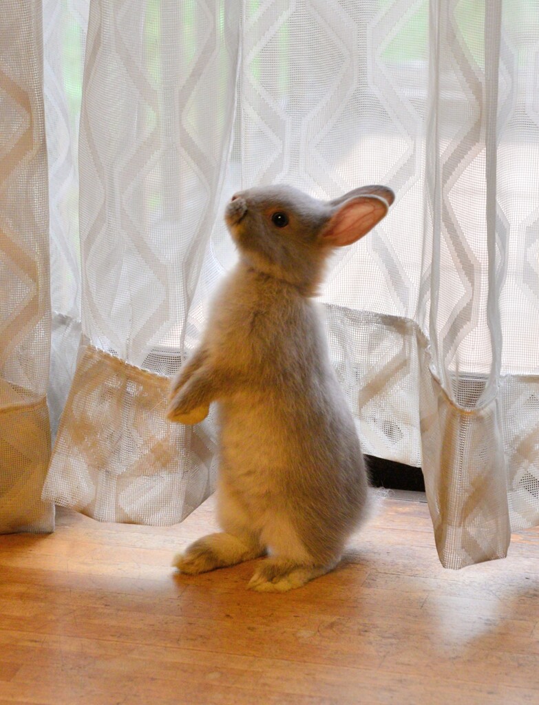 たっちして