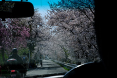 上賀茂神社からの車窓