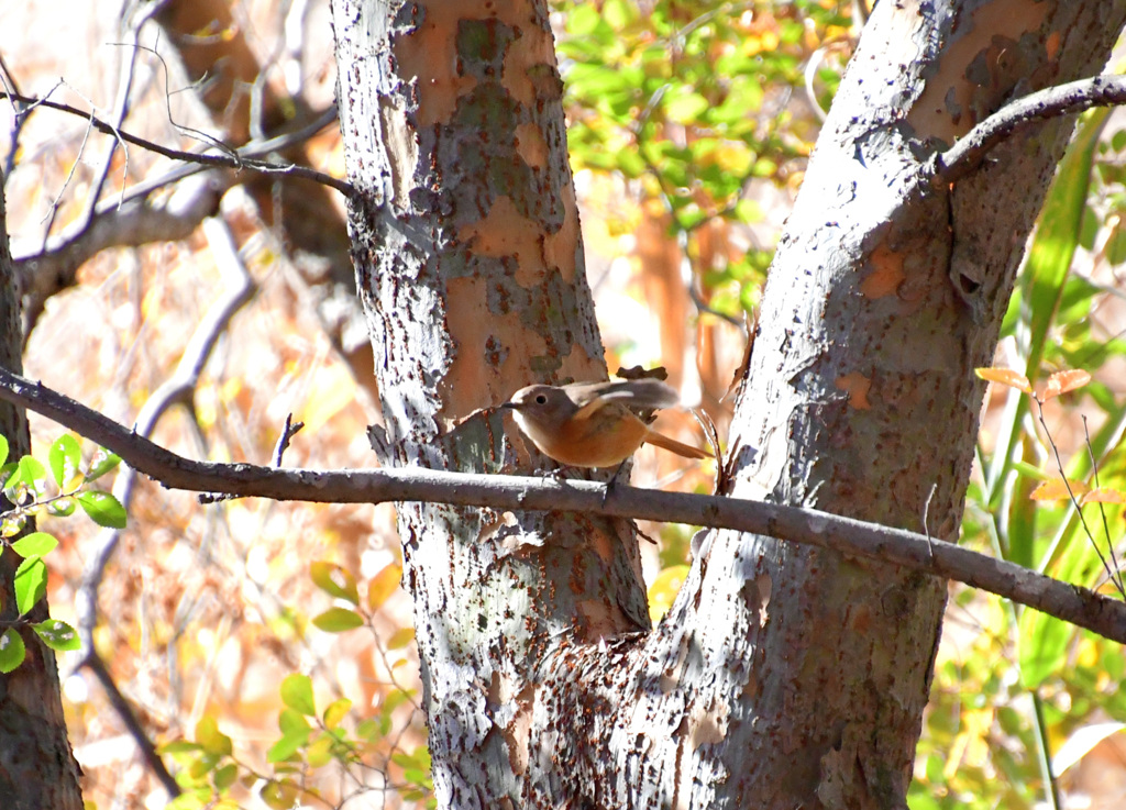 位置について、　用意