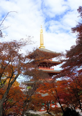 錦秋の五重塔