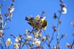 どんなかっこうでも