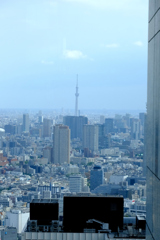 スカイツリー