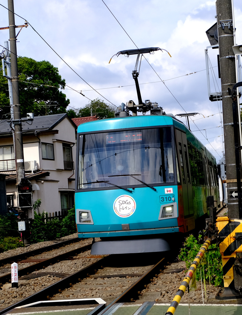 青いの来た