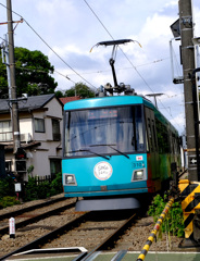 青いの来た