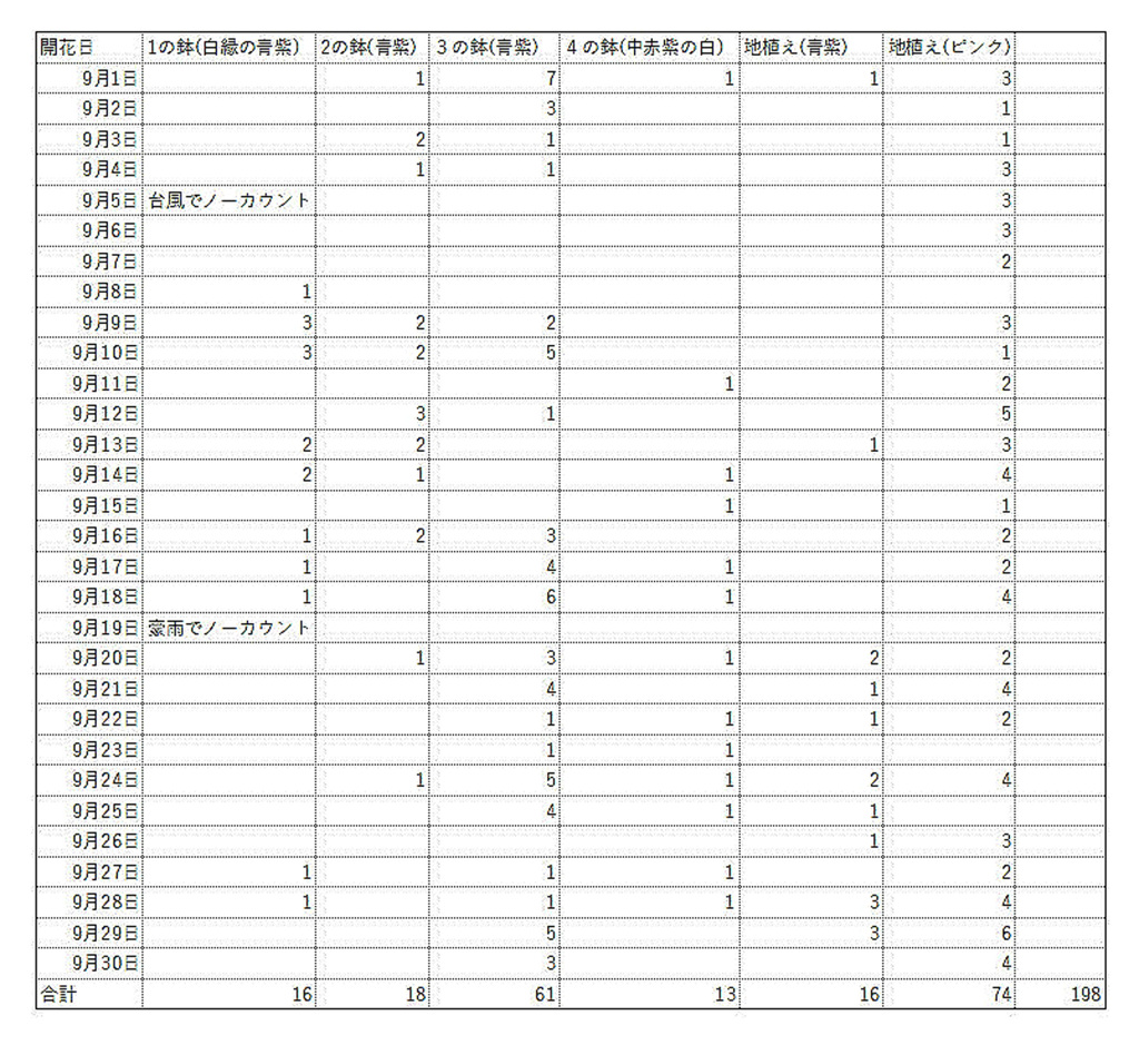 ９月の朝顔のまとめ