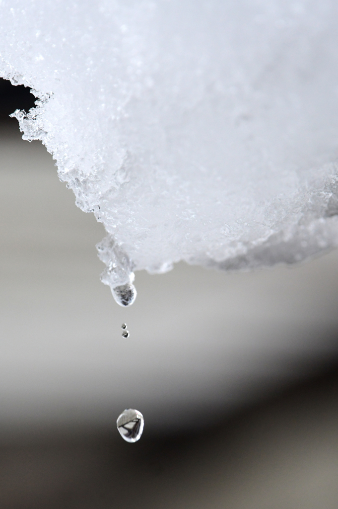 雪の日遊び