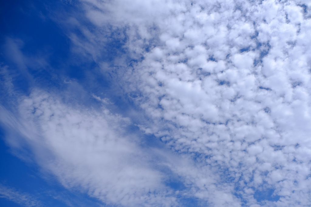 秋空