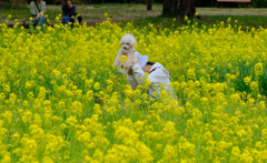 こういうこと