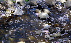流れる (4)