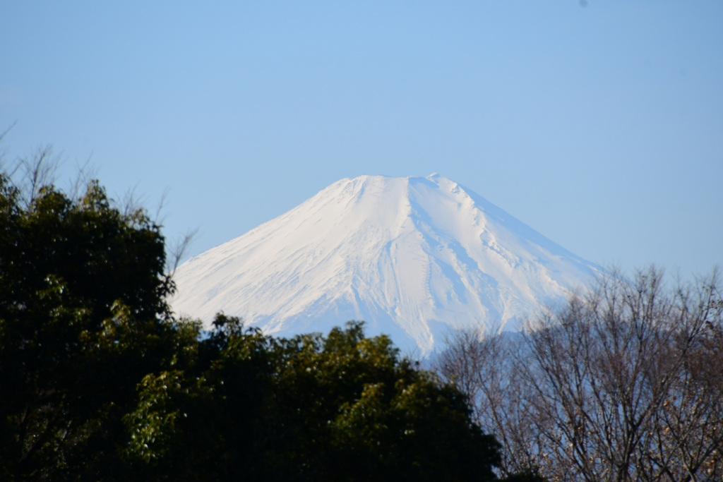 富士山２