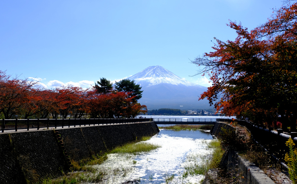 紅葉の向こうに富士