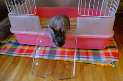 スロープが滑る