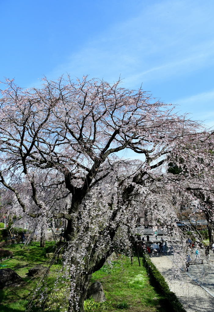 見おろす