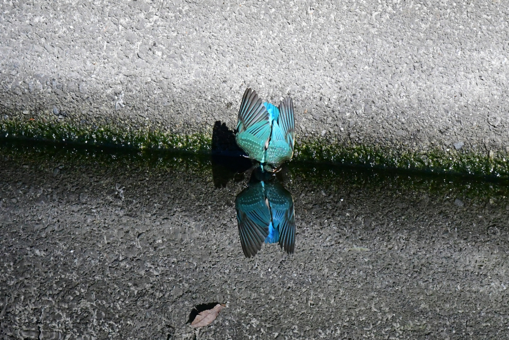 ３つっこんだ