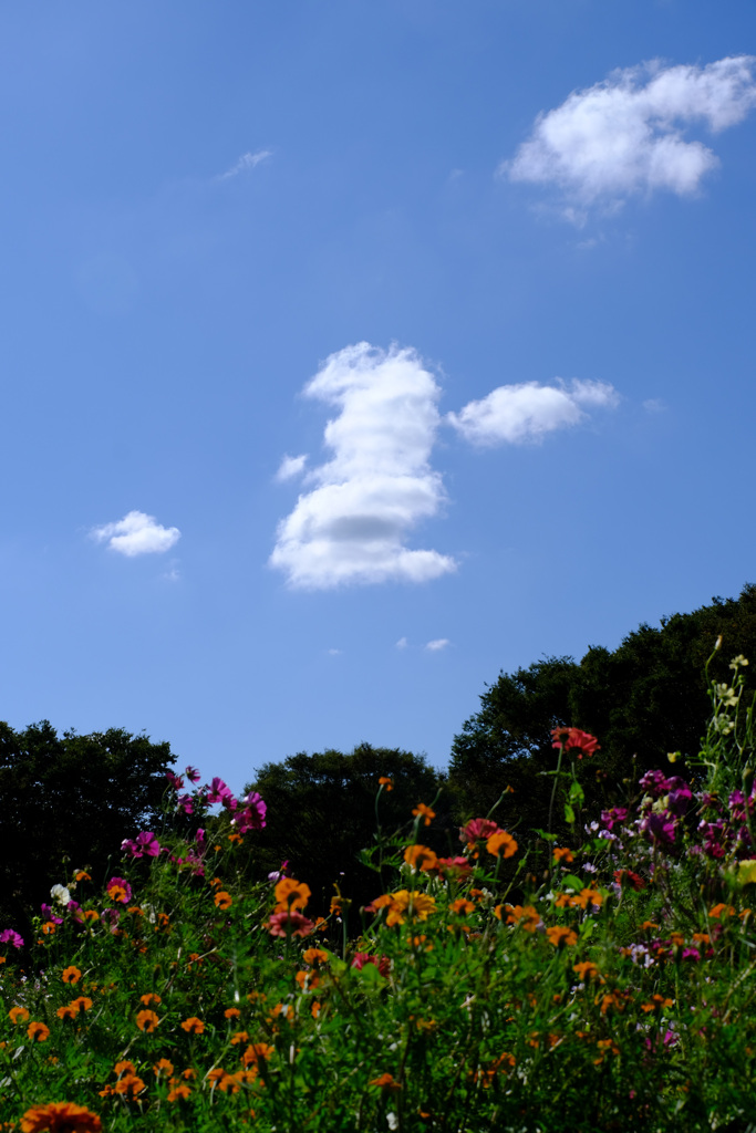 ぎょろ目のマーライオン